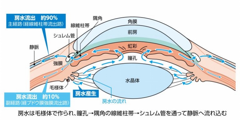 緑内障の種類と原因